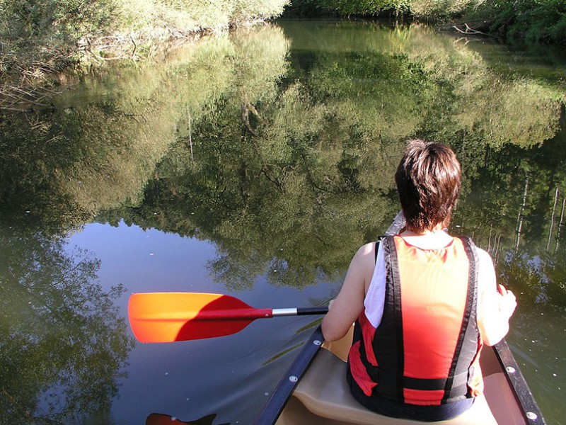 Spiegelbild der Natur